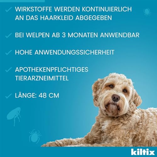 Kiltix Halsband gegen Zecken und Flöhe, mittelgroße Hunde