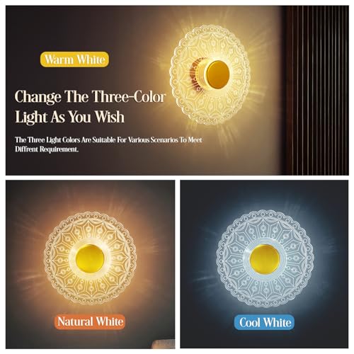 Image of Lamp master LumiRound 3 Color LED Acrylic Wall Light | Warm, Natural & Cool White Lighting | 9 Inch Decorative Round Lamp