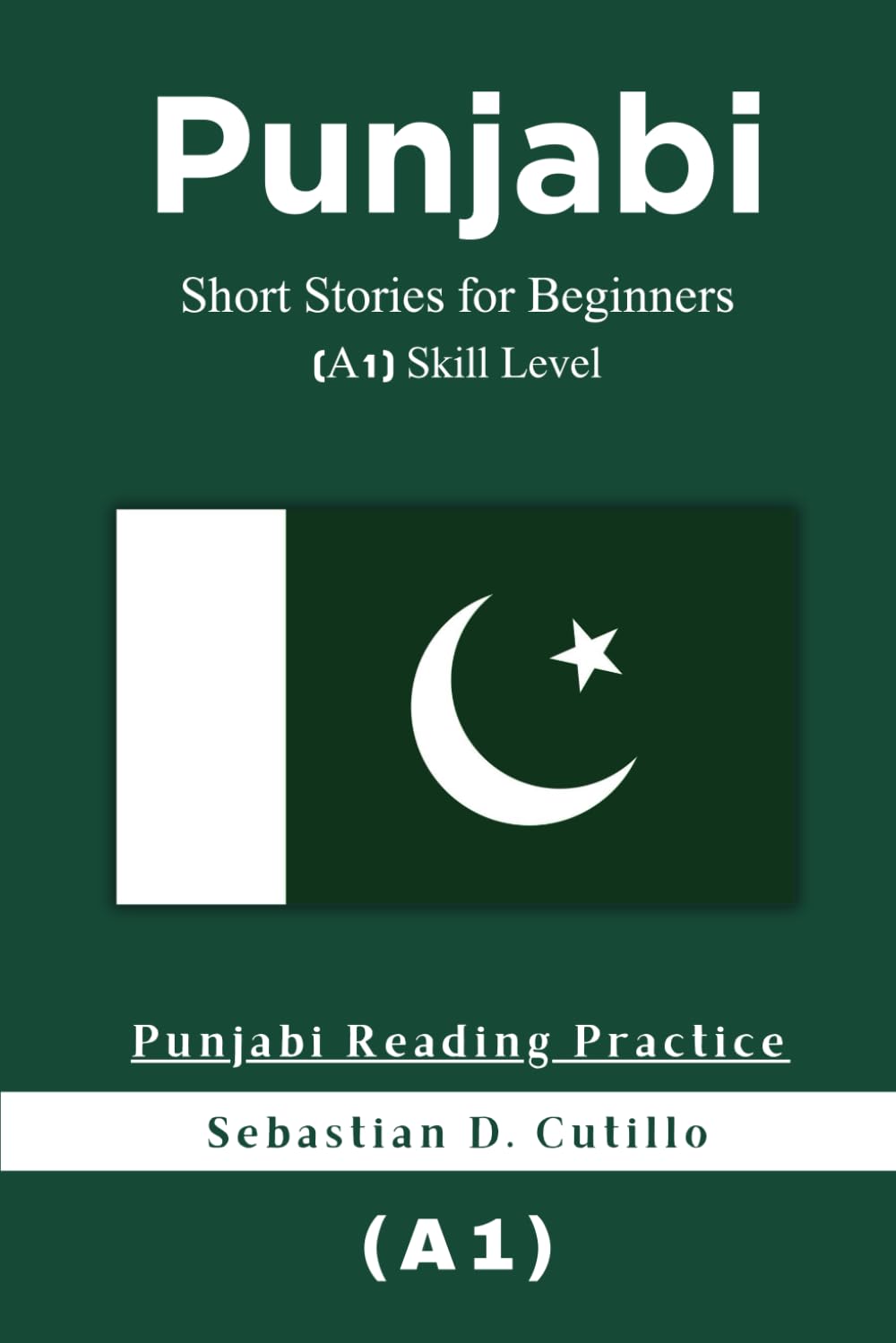 Punjabi Short Stories for Beginners (A1) Skill Level - Punjabi Reading Practice (Punjabi Short Stories (CEFR Leveled Language Learning))