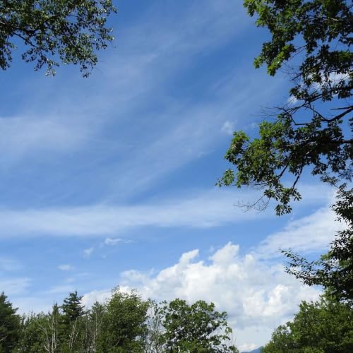 CLOUD GAZING