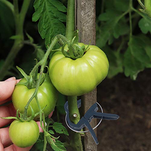 UPKOCH 90pcs Greenhouse Plant Clip Cable Ties Vegetable Plant Vine Support Clamps Flower Growing Climbing Ties Garden Vine Fixed Clamps