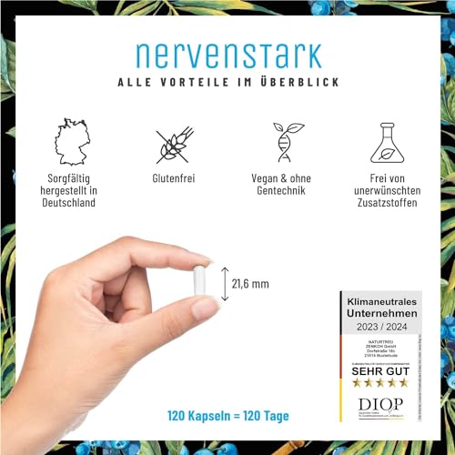 Vitamin B Komplex (B1-B12) mit 3 Kofaktoren aktiv - Alle 8- B Vitamine - B Vitamin Komplex hochdosiert mit Cofaktoren - Nervenstark *