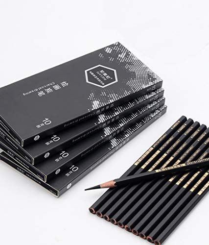 10 PCS/Pack Artist Charcoal Pencils - Black Color Soft Medium Hard - White Pastel Color - Black Charcoal White Pastel Drawing Pencils (Neutral)