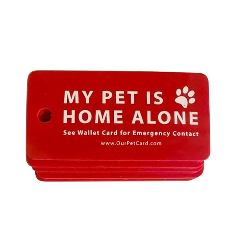 Plaquinha de Identificação para Cães e Gatos com Cartão de Contato NUEAYMS Rosa