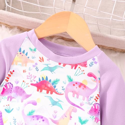Image of Little Girls Clothes Sets - Cute Sweatshirts Top Shirt & Leggings 2 Piece Kids Fall Winter Outfits Toddler Clothing
