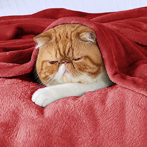 Image of VAS COLLECTIONS Premium Plush Summer Double Bed Dohar /AC Blanket | 300 GSM Reversible Lightweight Cozy Soft for Bed, Sofa, Couch, Travel & Camping| 220x230 cm - Maroon