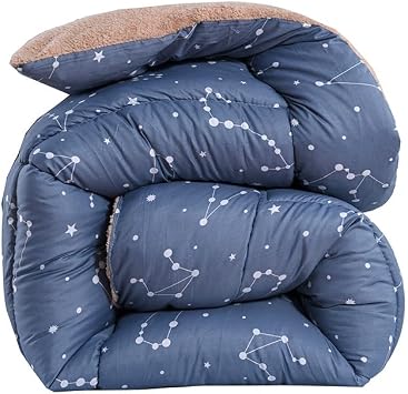 ZTGL Double Sided Thicken Winter Quilt, Single Double Duvet, Extra Warmest Breathable Lamb Fleece Bed Blanket, Super Soft Bedding Lamb Fleece Comforter Core,K,180x220cm3.0kg
