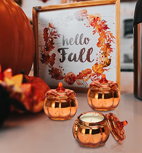 Pumpkin Shaped Candle Fall Autumn Farmhouse Decoration Halloween Candle Pumpkin Spice Scented Set Of 3X4.5Oz Christmas Candle Gift (Orange) #TOP3
