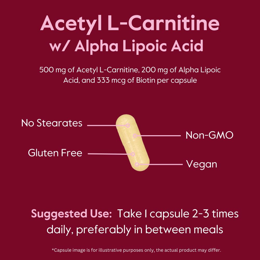 supplier of acetyl l carnitine hydrochloride Acetyl L-Carnitine