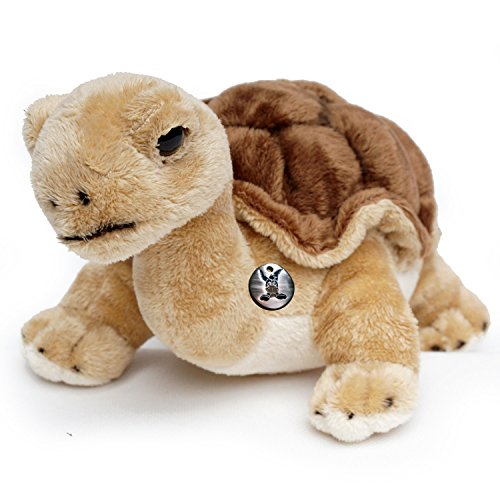 Preisvergleich Produktbild Kuscheltiere.biz Landschildkröte KASSIOPEIA 26 cm Schildkröte Plüschtier