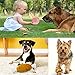 MAISITOO 19-teiliges Set Hundeseilspielzeug, vermeidet Langeweile und Angst bei Welpen, Zahnungsset für kleine, mittelgroße und große Hunde, Baumwollseil, Quietschspielzeug, interaktives Kauspielzeug,