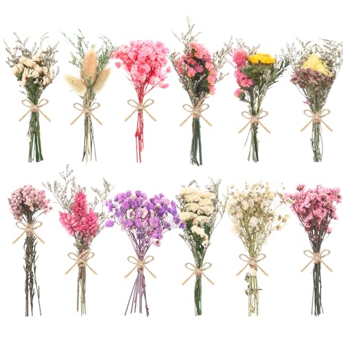 WGXX 10/12/24/36 Pack Mini Dried Flowers for Vase...