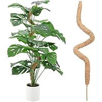 レア❤️葉挿しセット✨ホリコロ等✨1セットのみ❤️ 51YbRjbbdNL._SS200_.jpg