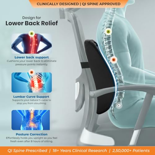 Image of Orthosit Orthopedic Lumbar Support | 5-Yr-Warranty | Back Support Cushion | Back Pain Relief| (Black - Set of 3)