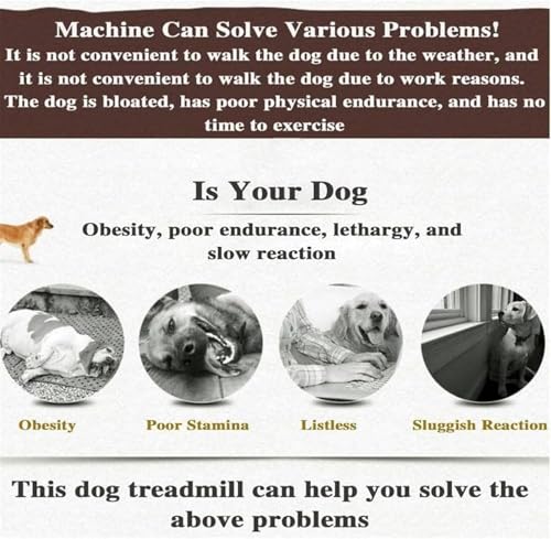 Conseils pour utiliser tapis chien