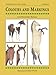 Colours and Markings: Threshold Picture Guide No 6 (Threshold Picture Guides)