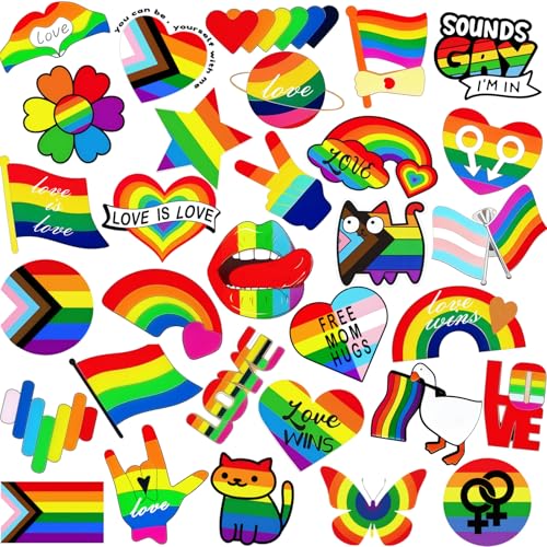 60 PCS Pride Acrylic Pins Bulk Rainbow LGBT Lapel Pins Gay Badges for Pride Month Accessories Bags Hats Jackets LGBT Gifts (60 Styles)