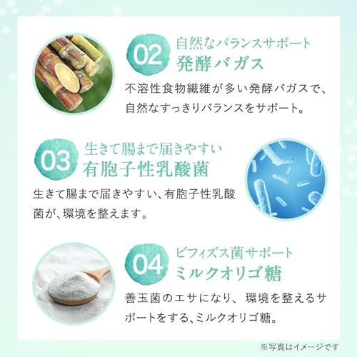 オーガランド (ogaland) シャンピニオンエチケット の商品画像 7