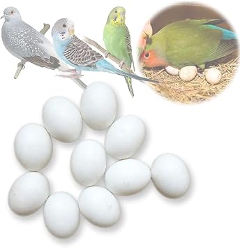 MESINURS Solid Plastic Eggs - Parrot Bird Hatching Replacing Eggs for Guiding Birds to Stop Laying, 10 PCS M