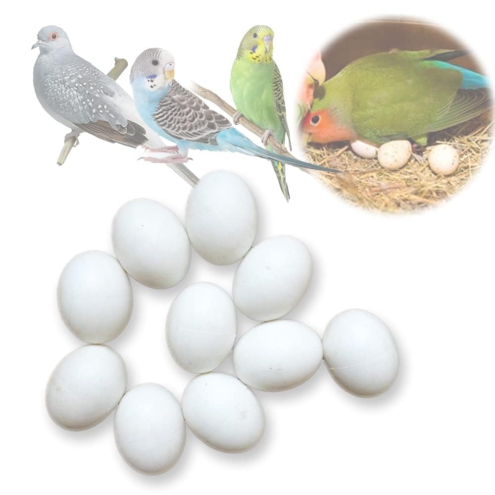 MESINURS Solid Plastic Eggs - Parrot Bird Hatching Replacing Eggs for Guiding Birds to Stop Laying, 10 PCS (M)