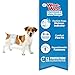 Four Paws Wee-Wee Super Absorbent Disposable Adjustable Dog Potty Training Male Wraps Diapers, Leak-Proof Protection for Puppies and Small Dogs, Extra Small, 12 Count