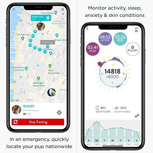 FitBark GPS Dog Tracker | Health & Location Pet Tracking Smart Collar Device | Small (17 g) & Waterproof | 4G LTE-M Real-Time US Verizon Coverage Nationwide | iPhone & Android Apps