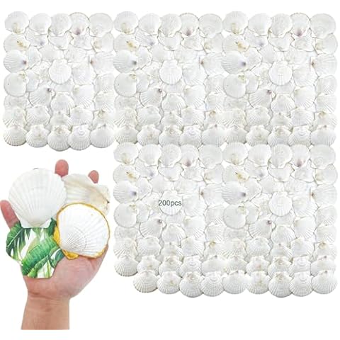 stonechic 200PCS Scallop Shells for Crafts 2.7''-3'' White Beach Natural Shells Bulk for Decoupage DIY Crafts Seashell Decorations Home Decor Cover