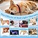 Red Light Therapy Collar for Dog, 660nm & 810nm & 980nm Infrared Red Light Vet Therapy Device for Pet, Cold Laser Therapy Device for Dog Tissue Repair, Pain Relief Arthritis, Promote Blood Circulation
