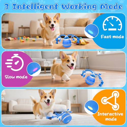 Interaktives Hundespielzeug, Interaktiver Spielball für Hunde, Hundeball Welpenspielzeug Ball Wicked Ball Dog Ball mit 3 Spielmodi, Elektrischer Hundeball mit Kauschnüren für Kleine Hunde & Welpen
