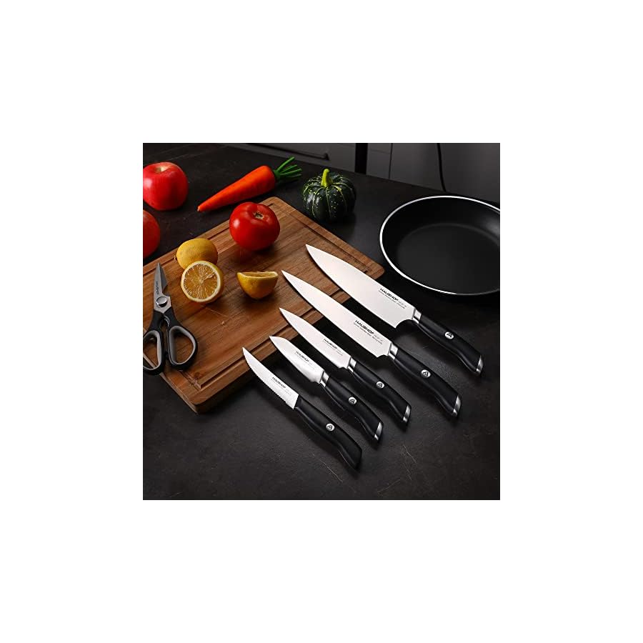 HAUSHOF Kitchen Knife Set with Block, 15 Pieces Stainless Steel Knife Sets with Sharpener Rod, Ultra Sharp, Ergonomic Handle, Resists Rusting, Gifts Knife Set for Dad, Mom, Husband and Wife