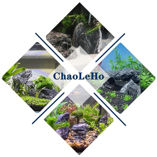 Image of Aquariums Stones Fish Tank Rock 3Lb seiryu Rock for Aquascaping,Aquariums,Terrariums,Vivariums,Decorative Stone,Reptile Enclosures,Paludariums,and Gardens-(2-5 Inch)