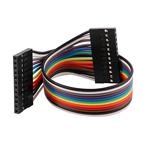 5 conectores Jumper Wire hembra 12 pines 20cm miniatura 3