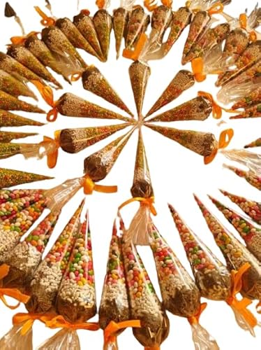 Mukhwas Cones (Indian Mouth Freshener) Saunf Favors (100)