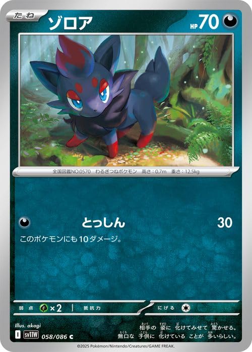 Amazon.co.jp: ポケモンカードゲームSV sv11W 拡張パック ホワイト