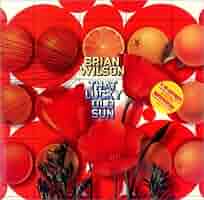 中古CD Brian the Sun 51YbsSMipPL._SY200_QL15_.jpg