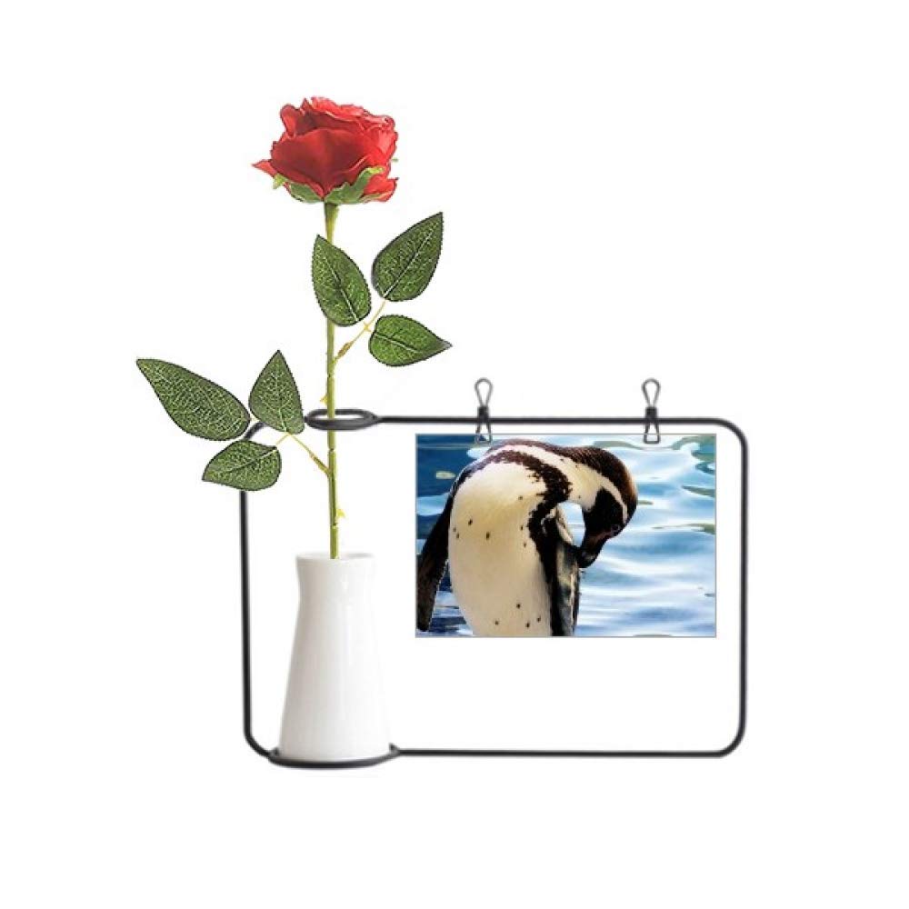 Rose artificielle suspendue sous vase pingouin océan et nature pour déco