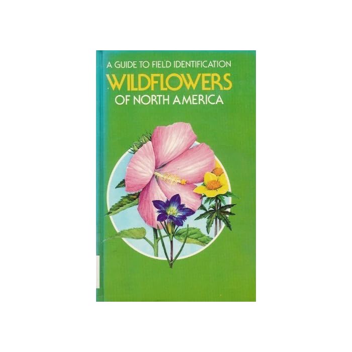 Buy Wildflowers of North America: A Guide to Field Identification ...
