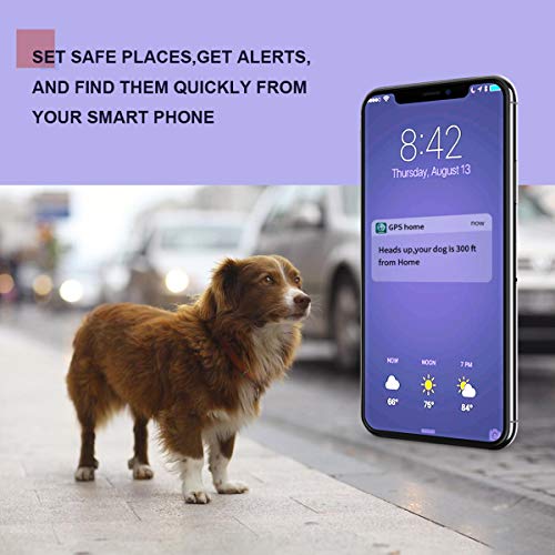 LMHOME GPS Pet Tracker, Real Time Dogs Cats Locator Finder - Waterproof|Alarm|, Security Fence|Remote Monitoring - Fits for All Android iOS Devices