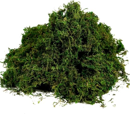 Natural Green Moss 10.5 oz - Decorative Floral Moss for Crafting, Gardening, and Home Decor
