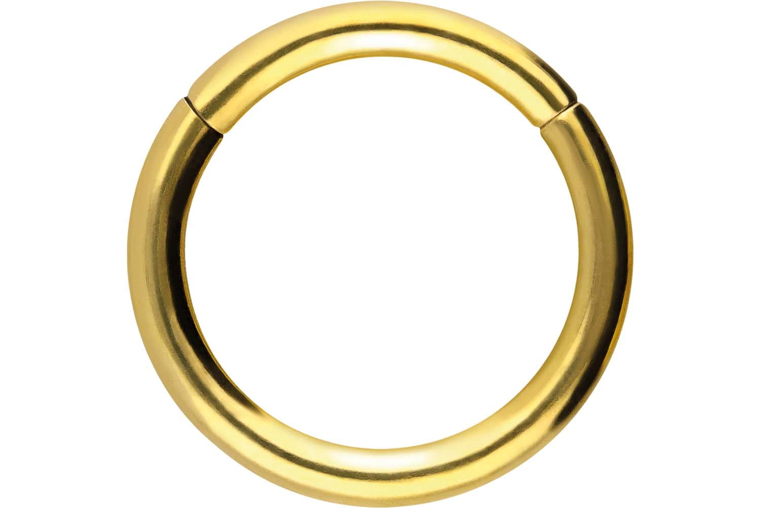 PIERCINGLINE Anillo segmento Clicker de acero quirúrgico – Piercing en oro, plata, rosa, negro o azul – para nariz, tabique, oreja, hélice o tragus — view 89