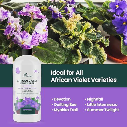Fertilizante líquido 16oz para Violetas Africanas miniatura 6