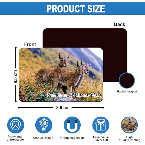 Image of Elegant Fridge Magnet with Themes |Rectangular Size Refrigerator Magnet with Magnetic Rubber Back | Pack of 1, 8.6cm X 5.4cm (Eravikulam National Park)