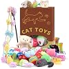QUOZUO 30 Pcs Cat Toy Kitten Toys Set, Interactive Cat Toy Wand Cat Springs Ball Toy with Bells, Cat Toys for Bored Indoor Cats, Gift Box Styles