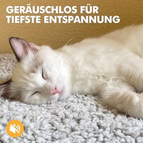 Mora Pets Selbstheizende Katzendecke Selbstwärmend Decke Katze, Heizdecke für Katze & Hunde Ohne Strom, Wärmedecke Angenehm Geräuschlos, Katzen Decke Flauschig & Rutschfester, 74 x 48 cm