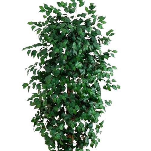Image of Nearly Natural 8ft Triple Trunk Artificial Ficus Tree with Natural Wood Trunks, Fake Tree for Indoor Home Decor, Faux Ficus Tree with Black Nursery Pot