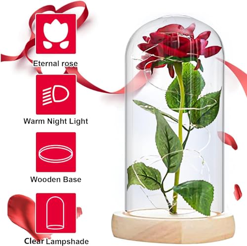Dream Loom Beauty and The Beast Rose, Eternal Fake Flowers Enchanted Rose in Transparent Dome with LED Light Strip - Image 3