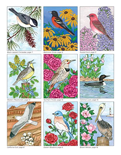 Birds at Home Coloring Book, Revised Edition: Discover Interesting Facts About Cardinals, Robins, Bluebirds, and 30 More of Your Favorite Birds from USA and Canada (Design Originals) Perforated Pages - Image 7