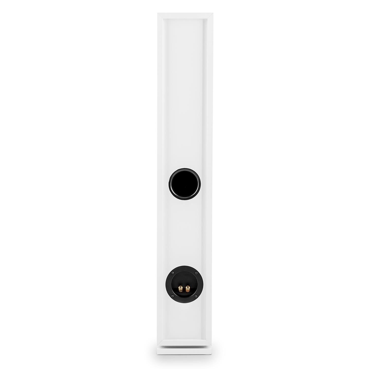 AUNA Linie 501 FS - Coppia Altoparlanti a Torre, Diffusori da Pavimento, Altoparlanti Passivi, 3 Vie, Bass Reflex, Woofer 20 cm (8"), 2 Midrange 10 cm (4"), Tweeter 2,5 cm (1"), 140W RMS, Bianco