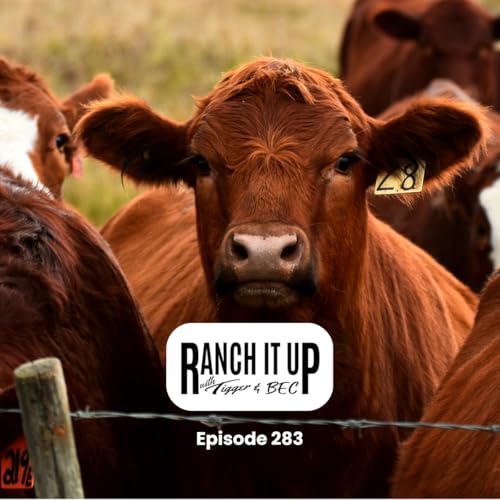 Ranch it Up Radio Show - Episode 283