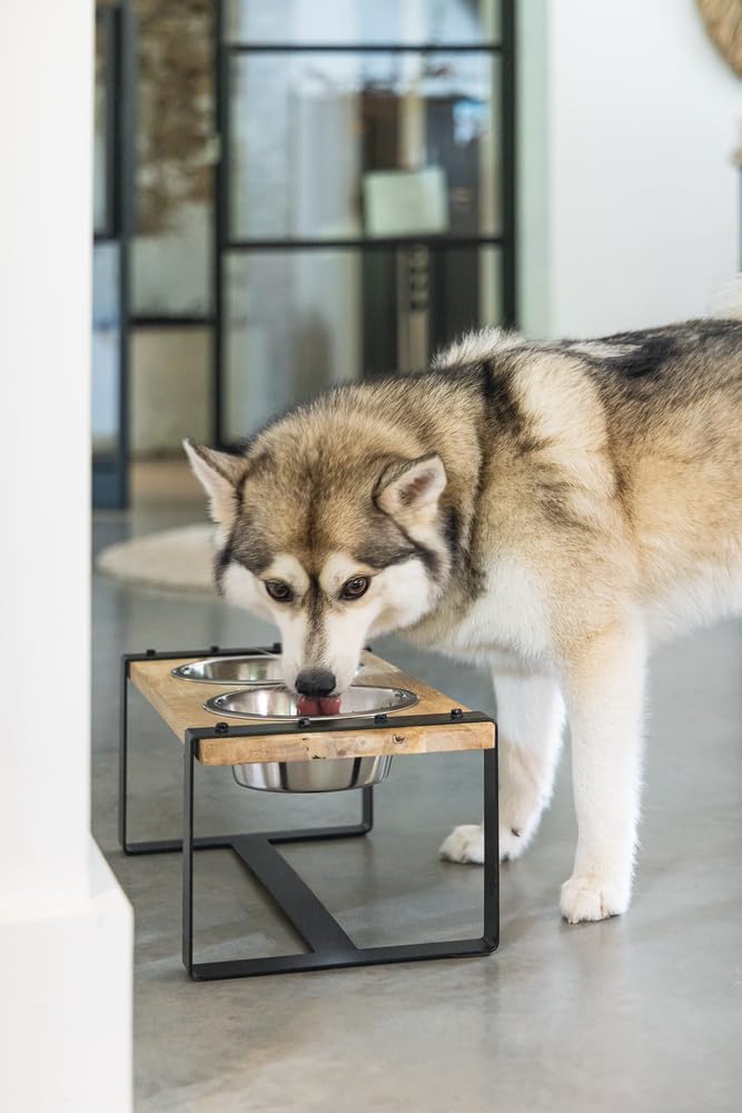 Designed by Lotte Karinto, Dinerset Hund, Holz/Metall, Inkl. 2 Napfen